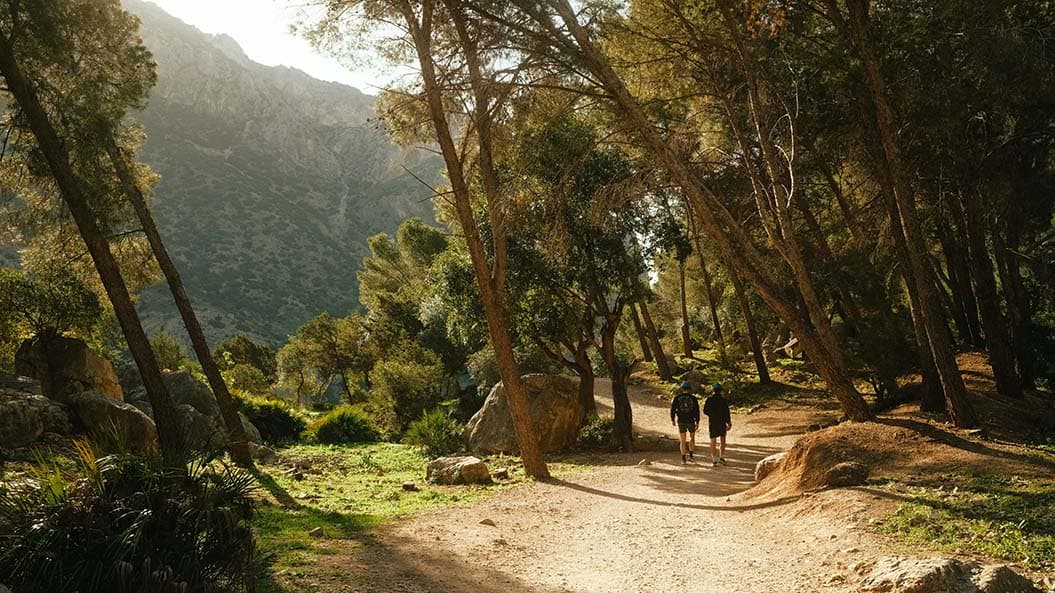 Caminatas por la Montaña